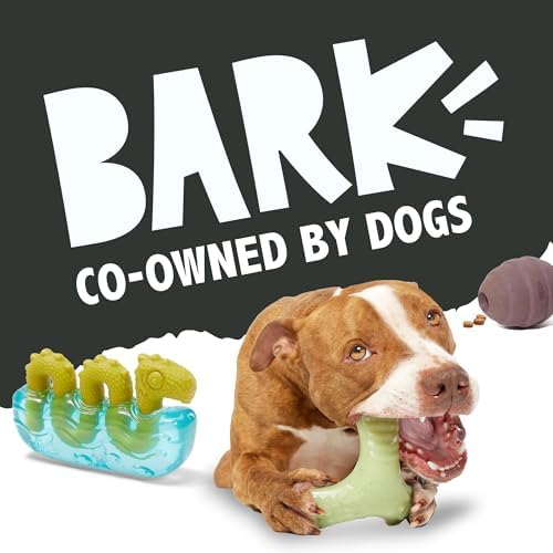 BarkBox Drac Casket Dog Toy – Treat Dispensing, Natural Rubber, Wacky Bounce, Dishwasher Safe, Perfect for Drac Snacks - Dog Chew Toy for Medium Dogs - Image 6