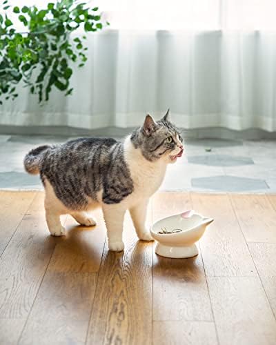 2Pcs Raised Cat Food Bowl Ceramic 15° Tilted Cat Food Bowls Protect Cat's Spine Anti Vomiting Backflow Prevention Bowls for Adult, Kitten, and Small Dogs, Pink - Image 7