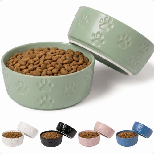 Ceramic Dog Bowl Set of 2 with Anti-Skid Base, 5.5"W x 2"H, 2 Cup Capacity by HBDesignCo