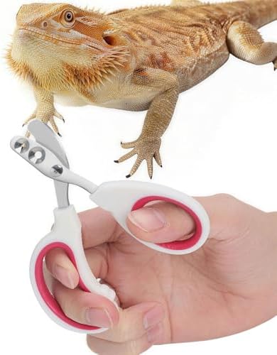 Stainless Steel Bearded Dragon Nail Clippers,Lizard Nail Clippers,Bearded Dragon Supplies,Bearded Dragon Nail Scissors for Small Reptiles,Turtle,Chameleon,Iguana，Hedgehog (Rose red) by Engorgio