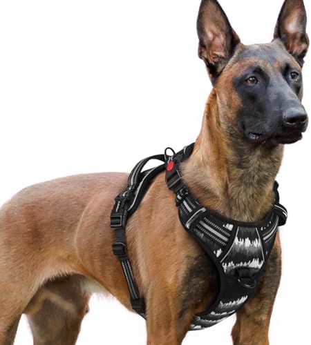 rabbitgoo Dog Harness for Large, Updated Easy On & Off with 3 Buckles by rabbitgoo