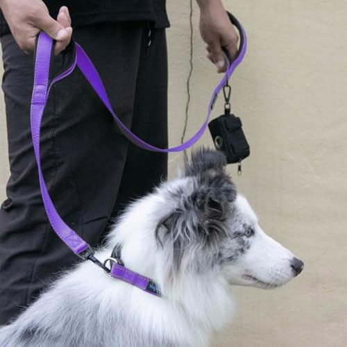 Wagtime Club Heavy Duty Double Handle Dog Leash for Large Medium Small Dogs - Image 7