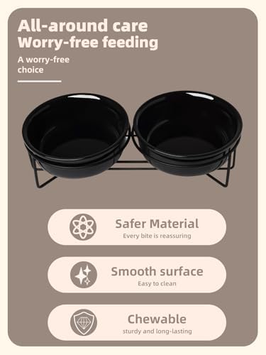 GDCZ Elevated 15 Oz Ceramic Double Cat Bowls with 11.6x2.5 Inch Stand (Black) - Image 3