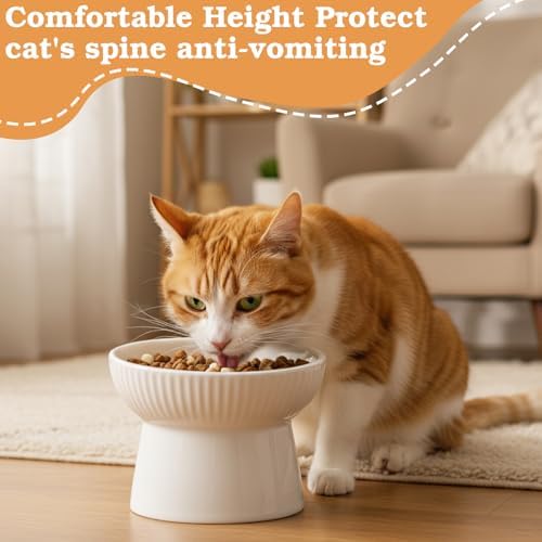 2 Pcs Cat Elevated Ceramic Bowls Raised Cat Food and Water Dishes, High Edge, Anti Vomiting Cats Feeder Bowl for Pets Kitten Puppies Dry Wet Food and Water, Dishwasher Safe - Image 5