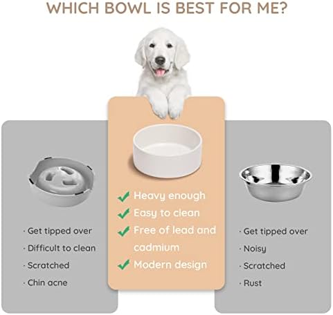 SPUNKYJUNKY 28.7OZ Ceramic Dog and Cat Bowl, Modern Cute Weighted Food Water Bowl for Replacement White (1 Pack) - Image 4