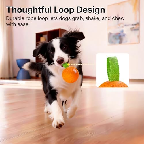 Potaroma Dog Ball with Rope Handle, Motion Activated Bouncing E-TPU Toy - Image 5