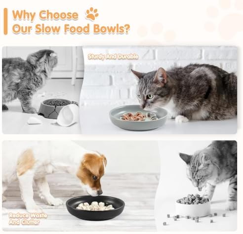Cat Slow Feeder Bowl Set,2 Pcs Pastel Series Cat Plate for Dry and Wet Food - Image 4