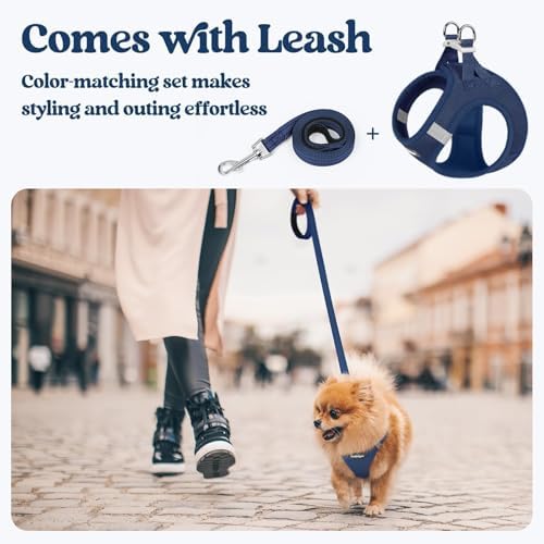 rabbitgoo Dog Harness Medium Sized and Leash Set, Step-in Puppy Pet Vest - Image 6