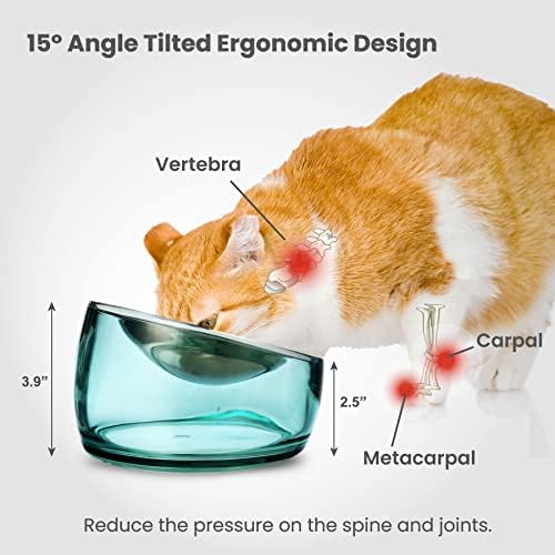 Felli Oblik Elevated Cat Bowl Removable Stainless Steel Wide Dish for Dry Wet Food Feeding & Dishwasher Clean, Slanted Whisker Fatigue Friendly Metal Plate (Classic, 0.5 Cups Shallow Dish) - Image 5