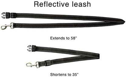 Caldwell's Pet Supply Co. Hands-Free Dog Leash, Adjustable Waist Leash for Dog Walking, Non-Bungee, Hands Free Harness, Durable and Versatile Waist Belt Leashes, Cross Body for Dogs (26" - 47") - Image 2