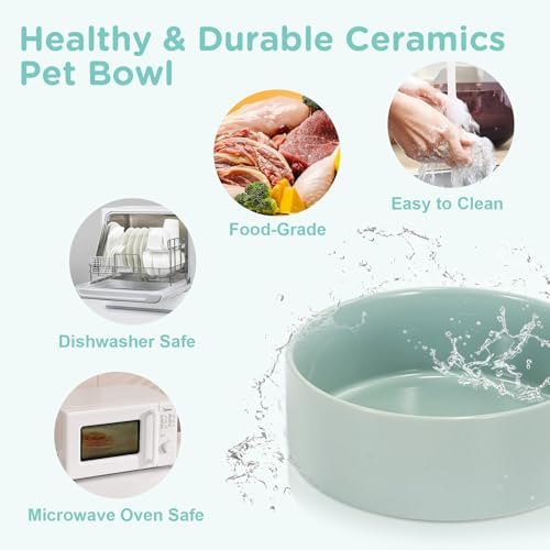 SPUNKYJUNKY Elevated Dog Bowls Ceramic, 5.1'' Dogs and Cat Food Water Bowls Raised with Non-Slip Bamboo Stand for Puppy Small Sized Breed Microwave Dishwasher Safe - 13.5 OZ,Light Green - Image 5