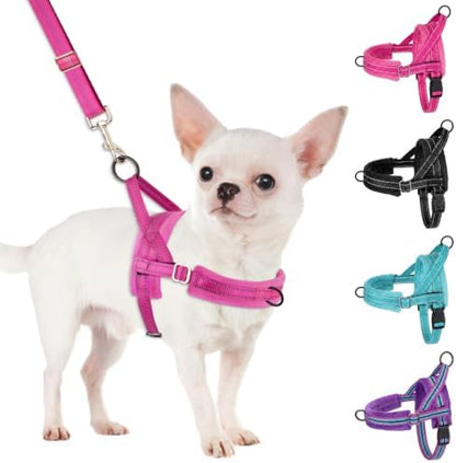 SlowTon No Pull Small Dog Harness and Leash Set with Front Clip by SlowTon