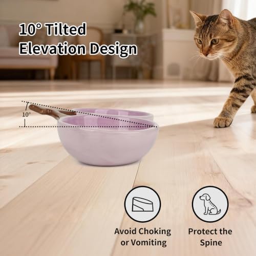 10° Tilted Ceramic Cat Bowls Set - Elevated Food & Water Dishes, Ergonomic Design for Easy Feeding for Cats, Kittens & Small Dogs, 9.4" x 5.1" x 2.3" (Purple) - Image 2