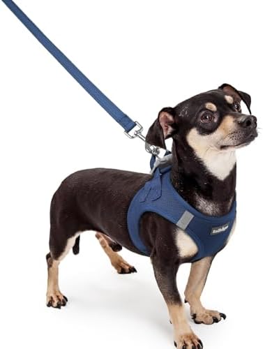 rabbitgoo Dog Harness Small Sized and Leash Set, Step-in Puppy Pet Vest by rabbitgoo