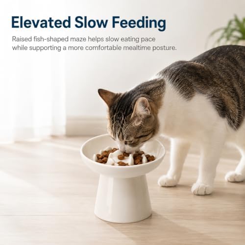 Ceramic Elevated Cat Slow Feeder Bowl, 6 Inch Shallow Wide Dish, 12oz Anti‑Vomiting Cat Food Bowl for Dry & Wet Food, Anti‑Slip Pet Feeding Bowl, White - Image 6