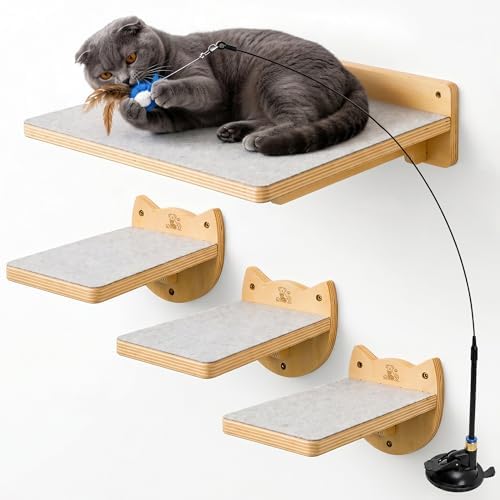Snuggle & Play Cat Wall Shelves & Climbing System – Modern Furniture Set with 3 Steps & Perch for Indoor Cats, Includes Wand Toy by Unknown