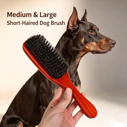 Boar Bristle Dog Brush for Short Haired Dogs, Natural Wooden Grooming Tool, Reduce Shedding, Detangle & Massage Sensitive Skin, Grooming to Calm Dogs & Build Pet Owner Bonding (Red sandalwood) - Image 5