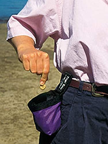 Chuckit! Treat Tote Dog Treat Pouch, 2 Cup Capacity - Image 2