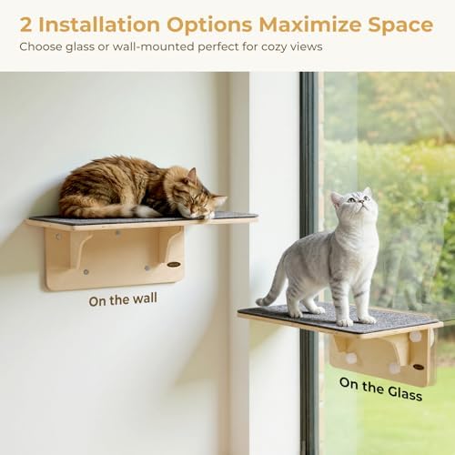 Pecute 2-in-1 Large Cat Window Perch & Wall Shelves, Solid Wood, 21"x11" - Image 2