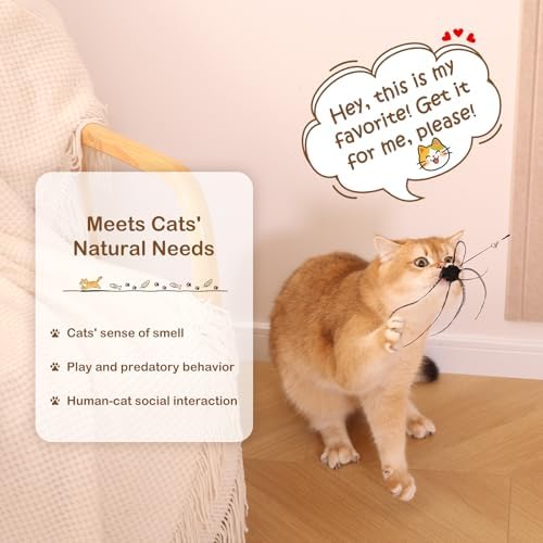 Retractable Cat Wand Toy with 4 Bug-Inspired Feather Refills - Image 2