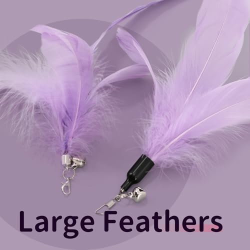 SONGWAY Cat Wand Toys for Indoor Cats - Cat Toy Set with Retractable Teaser Wand and 6 PCS Fairy Feather Toy Refills, Dragonfly Tassel Cat Toys Interactive, Purple - Image 4