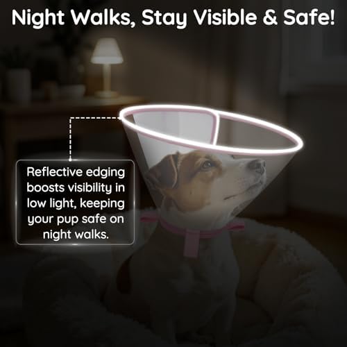 Clear Dog Cone for Medium Dogs Corgi, E-Collar After Surgery - Image 3