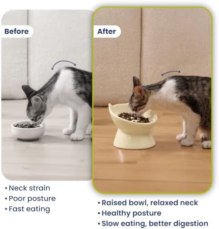 PawsPik Lynx Ceramic Raised Slow Dog & Cat Elevated Food Bowl, Daisy Yellow - Image 7