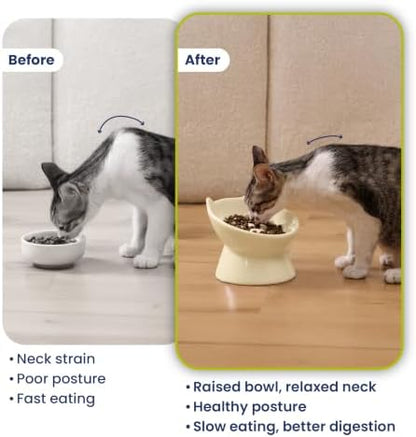 PawsPik Lynx Ceramic Raised Slow Dog & Cat Elevated Food Bowl, Daisy Yellow - Image 7