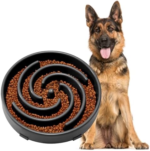 JASGOOD Slow Feeder Bowl for Large Dogs, Anti-Gulping, Prevents Bloat & Choking by JASGOOD