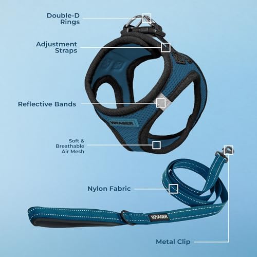 Best Pet Supplies Voyager Step-in Air All Weather Mesh Harness and Reflective Dog 5ft Leash Combo with Neoprene Handle, for Small, Medium and Large Breed Puppies - Blue/Black Trim, Large - Image 3