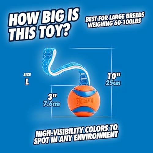 Chuckit! Ultra Tug Dog Toy, Durable Nylon Cord Handle, Large 3-in - Image 4