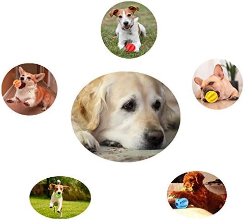Sunglow 2 Pack Dog Toy Ball - Nontoxic Bite Resistant Teething Toys for Small/Medium/Large Dog and Puppy Cat, Dog Pet Food Treat Feeder Chew Tooth Cleaning Exercise Game IQ Training - Image 7