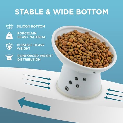 Necoichi Ceramic Elevated Cat Food Bowl, 15° Tilted (Cat, Regular Tilted) - Image 3