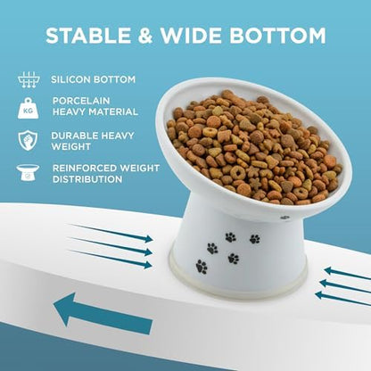 Necoichi Ceramic Elevated Cat Food Bowl, 15° Tilted (Cat, Regular Tilted) - Image 3