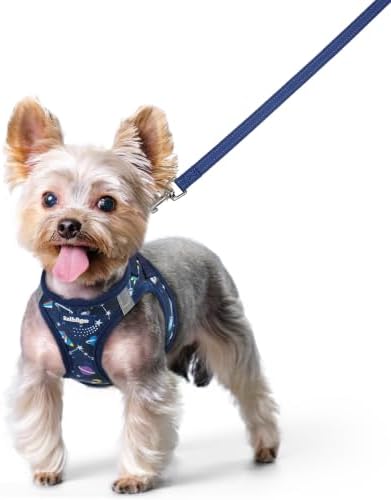 rabbitgoo Dog Harness Small Sized and Leash Set, Step-in Puppy Pet Vest by rabbitgoo