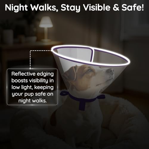 Clear Dog Cone for Medium Dogs Corgi, E-Collar After Surgery - Image 3