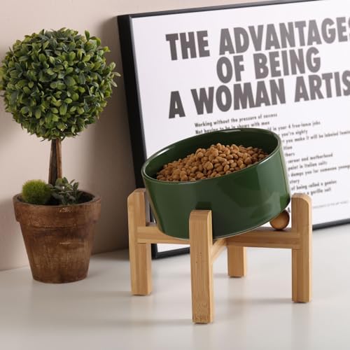 Petygooing Elevated/Raised 15°Slanted Ceramic Dog Bowl for Small and Medium Breeds, Tilted Anti Slip Pet Feeding Bowl,Food Water Dish with Stand for Cats and Dogs (28 OZ/3.6 Cups) Rust Green - Image 6