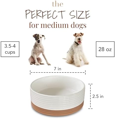 Mora Ceramic Pet Bowl Size Medium - Food/Water Dish for Large Puppies, Cats, Retrievers, Medium Sized Dogs, ect. 28oz or 4 Cups - Basic Bowls for Your Dog or Cat, Mix and Match for a Set - Vanilla - Image 2