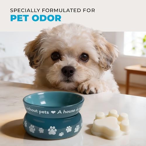 Lemon Cupcake Spring and Summer Wax Melts Plant-Based Wax, Pet House - Image 6