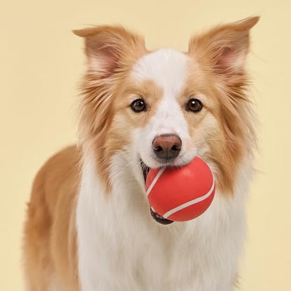 Playology Squeaky Chew Ball Dog Toy - Jumbo, Beef Scent - Image 3