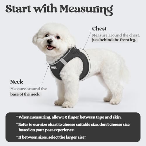 rabbitgoo Dog Harness Small Sized and Leash Set, Step-in Puppy Pet Vest - Image 2