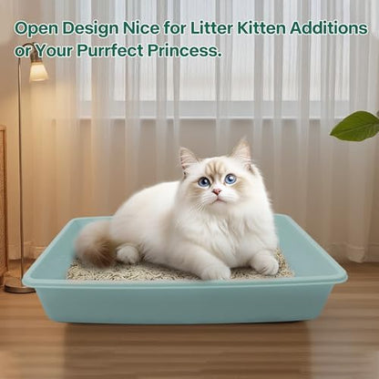 PAWISE Small Cat Litter Box,14.3 x 10.6 x 2.5 Kitten Litter Box Starter Kit,Low Entry Baby Kitten Training Litter Box with Scoop,Bowls,Cat Mouse Toy and Ball Toy,First Catty Owner Essentials (Green) - Image 6
