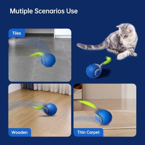 Petgravity Speedy Sprint Ball Toy for Cat Type-C Rechargeable Interactive Cats Toy (Blue 2.0) - Image 5