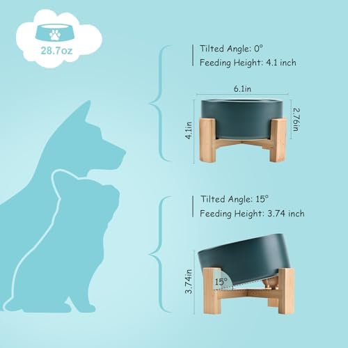SPUNKYJUNKY 15° Slanted Ceramic Dog and Cat Bowl with Wooden Stand, Tilted Bulldog Food and Water Bowl No Slip Non-Spill for Cats Medium Dogs Big Face Pets 28.7 OZ (3.6 Cups, Green) - Image 4