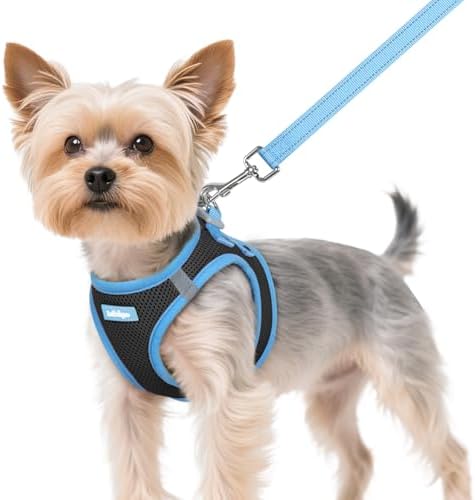 rabbitgoo Dog Harness Small Sized and Leash Set, Step in Soft Vest by rabbitgoo