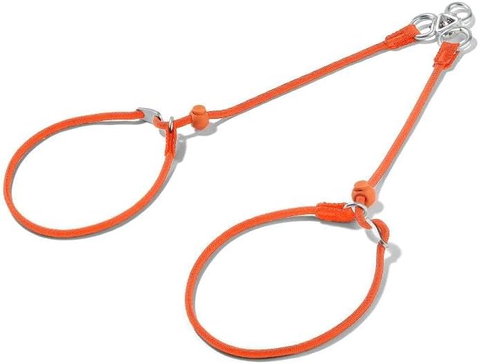Howgo Slip Lead Leash 2 Dogs, Tangle-Free 360 Swivel(Orange,No Handle) by HOWGO