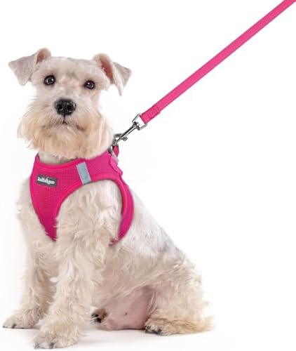 rabbitgoo Dog Harness Medium Sized and Leash Set, Step-in Puppy Pet Vest by rabbitgoo
