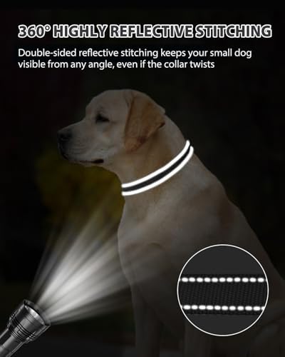 Joytale Feather-Light Dog Collar for Medium & Large Dogs, 1", Black - Image 5