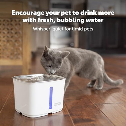 PetSafe Viva Pet Water Fountain, 64 oz, for Cats and Small Dogs - Image 2