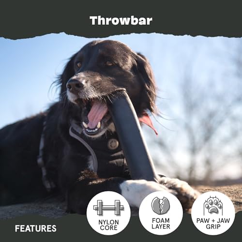 BarkBox Throwbar Super Chewer - Toy for Medium to Large Dogs - Image 4